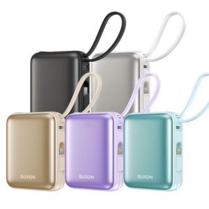 GUXON 巧方塊雙線行動電源 whn標示 ( 0000-00-00 )